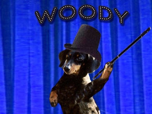 Woody on Broadway