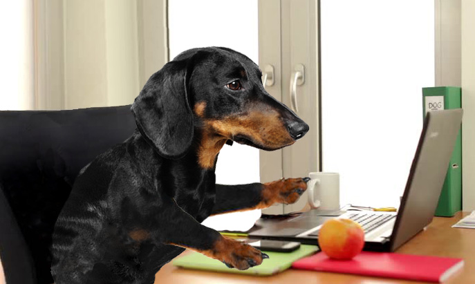 woody at desk